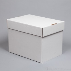 Newspaper Storage Boxes for Collect
